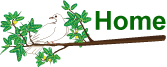 Dove on a branch button to return to the  home page